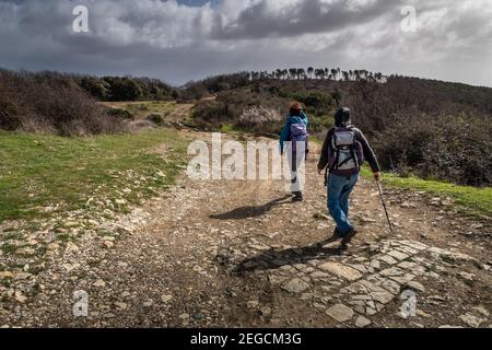 LIVOURNE, ITALIE - 25 FÉVRIER 2020: Des personnes inconnues marchant dans les bois et les chemins de Rosignano Marittimo, Toscane, Italie Banque D'Images