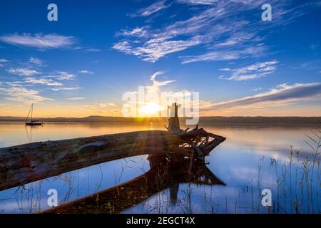 Tronc d'arbre se trouve sur la rive, coucher de soleil sur l'Ammersee, Fuenfseenland, haute-Bavière, Bavière, Allemagne, Europe Banque D'Images