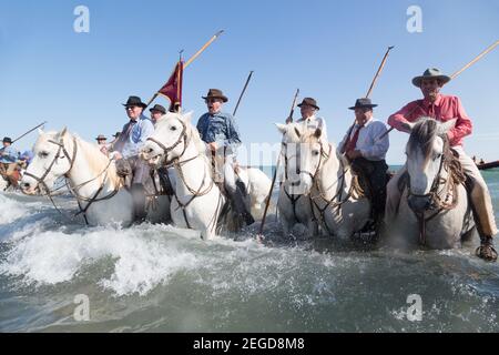 France Saintes Maries de la Mer 'les Gardiens Camargaises', le cavalier local habillé de guirlande traditionnelle accompagne la procession des Gypsy Banque D'Images