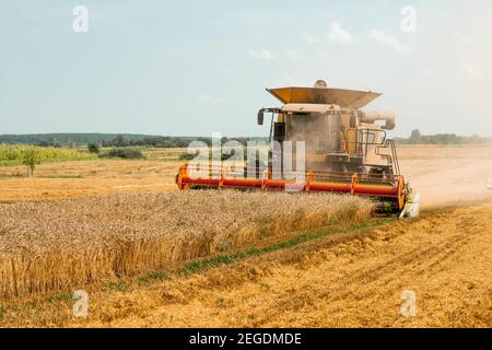 Le secoueur rotatif coupe et batte le grain de blé mûr. Moissonneuses-batteuses avec barre de coupe à grain, épandeur de menue paille large pour récolter les épis de céréales. Récolte récoltant Banque D'Images