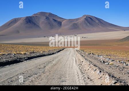 Le désert de Salvador Dalí dans la réserve nationale de faune andine Eduardo Avaroa dans les montagnes andines, province de sur Lípez, département de Potosí, Bolivie Banque D'Images