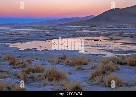 Laguna Polques au coucher du soleil, lagune avec sources chaudes à Salar de Chalviri, plat de sel / saltplat dans la réserve nationale de faune andine Eduardo Avaroa, Bolivie Banque D'Images