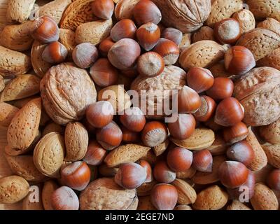 Vue générale de noix mélangées avec des noisettes, noix, amandes et noix du Brésil. Banque D'Images