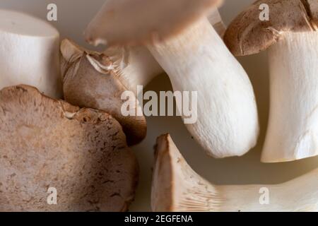 Détail de champignons assemblés, champignons King Oyster, Champignon, Kräuterseitling, arrière-plan Banque D'Images