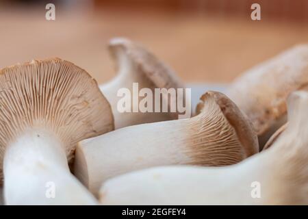 Détail de champignons assemblés, champignons King Oyster, Champignon, Kräuterseitling, arrière-plan Banque D'Images