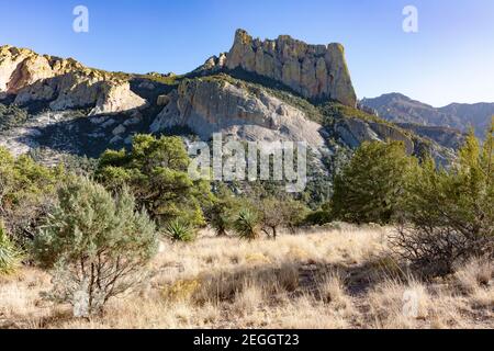 Cave Creek Canyon, montagnes Chiricahua, vues depuis le sentier Silver Peak, Portal, sud-est de l'Arizona Banque D'Images