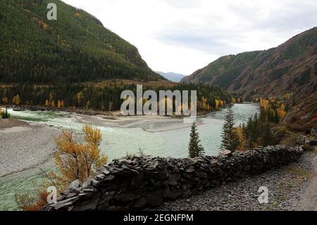 Un chemin étroit avec un mur en pierre surplombant la confluence de deux belles rivières, entouré de forêts de pins et de hautes montagnes. Confluence de Katun Banque D'Images