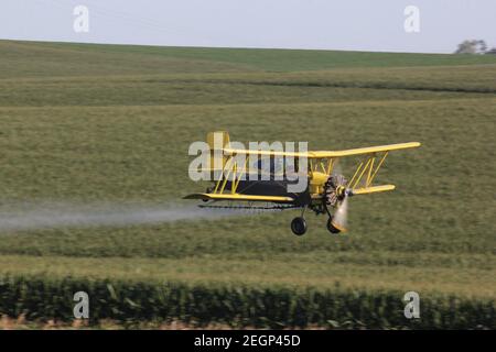 Un plumeau agricole AG Cat survole les terres agricoles du Midwest pulvérisant le maïs des champs verts ci-dessous. Banque D'Images