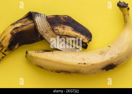 Une banane noire et jaune à moitié mangée, et une banane entière, sur fond jaune Banque D'Images