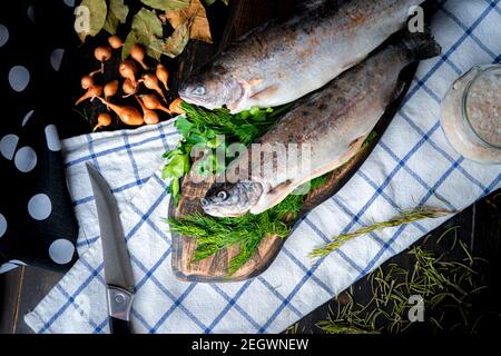Deux truites arc-en-ciel crues avec garniture sur une planche de bois. Banque D'Images