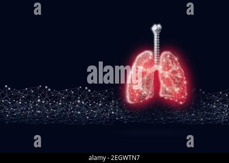 Poumons humains en poly rouge avec ligne numérique sur fond bleu foncé. Anatomie abstraite organe. Banque D'Images