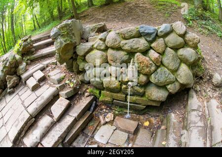 Printemps avec de l'eau potable un jour d'été dans un forêt de pins Banque D'Images