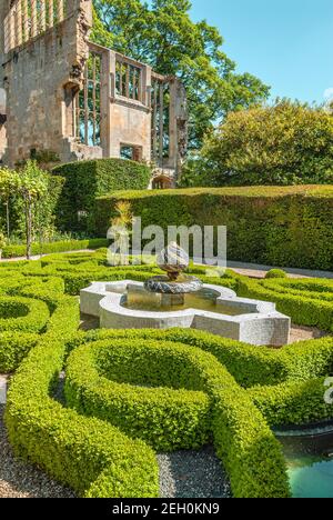 The Knot Garden at Sudeley Castle situé près de Winchcombe, Gloucestershire, Angleterre Banque D'Images