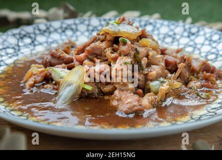 Gros plan du poulet frit Stir avec sauce à l'huître dans une assiette en céramique. Délicieux et célèbre cuisine thaïlandaise. Mise au point sélective. Banque D'Images