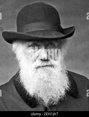 CHARLES DARWIN (1809-1882) naturaliste anglais en 1878 Banque D'Images