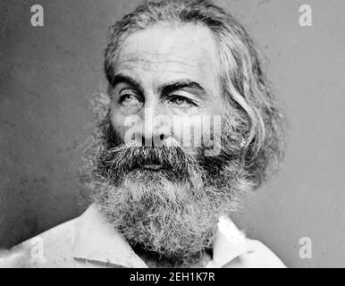 WALT WHITMAN (1819-1892) poète, essayiste et journaliste américain photographié par Matthew Brady vers 1875.