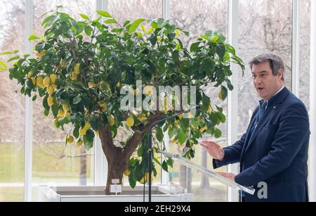 Munich, Allemagne. 19 février 2021. Après une conférence vidéo avec la Chancelière Merkel (CDU), ainsi que les conseils de district et les maires bavarois, Markus Söder (CSU), Premier ministre de Bavière, prend la parole lors d'une conférence de presse à la Chancellerie d'État bavaroise. Credit: Peter Kneffel/dpa/Alay Live News Banque D'Images