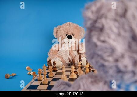 Gros plan sur les ours en peluche avec des pièces d'échecs sur l'échiquier. Jouets en peluche qui jouent aux échecs sur fond bleu Banque D'Images