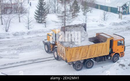 Le gros tracteur jaune nettoie la neige de la route et la charge dans le camion. Nettoyage et nettoyage des routes de la ville de la neige en hiver Banque D'Images