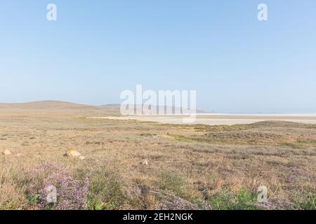 Lac rose de Koyash en Crimée en été. Paysage pastel incroyablement délicat. Le concept de détente, de tranquillité et de paix. Arrière-plan naturel Banque D'Images