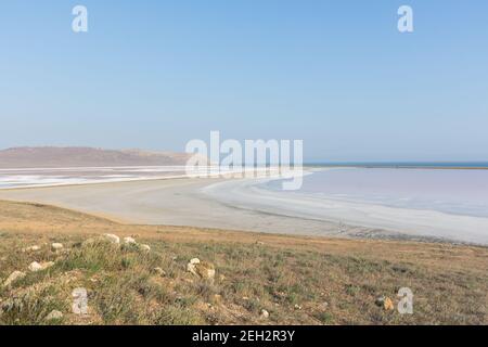 Lac rose de Koyash en Crimée en été. Paysage pastel incroyablement délicat. Le concept de détente, de tranquillité et de paix. Arrière-plan naturel Banque D'Images