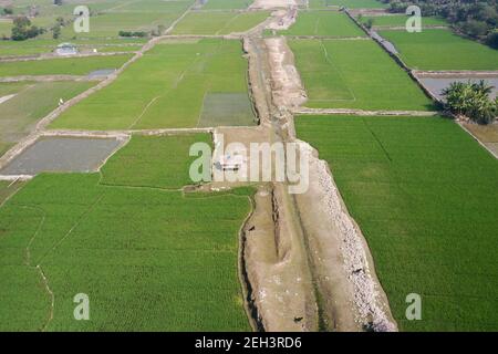 Khulna, Bangladesh - 04 février 2021 : vue aérienne du champ de paddy vert de Paikgacha à Khulna, Bangladesh. Environ 60 pour cent de la population i Banque D'Images