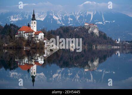 Bled, Slovénie. 19 février 2021. L'église de l'Assomption de la Vierge Marie sur l'île de Blejski Otok dans le lac Bled au pied du plateau de Pokljuka. Le château de Bled est visible en arrière-plan. Les Championnats du monde de biathlon se tiendront à Pokljuka du 10-21 au 16 février. Credit: Sven Hoppe/dpa/Alay Live News Banque D'Images