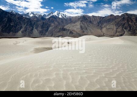 Dunes de Nubra Valley - Ladakh - Jammu-et-Cachemire - Himalaya indien Banque D'Images