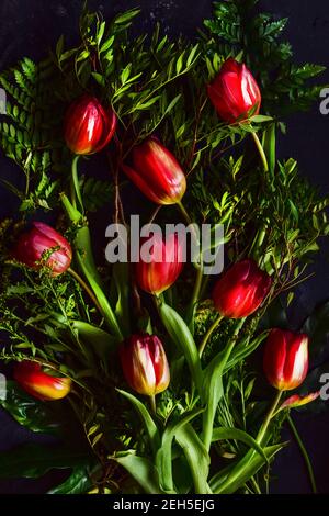 Photo de tulipes rouges sur fond de charme, beau bouquet floral. Banque D'Images