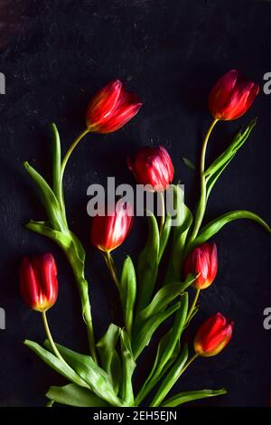 Photo de tulipes rouges sur fond de charme, beau bouquet floral. Banque D'Images