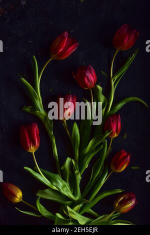 Photo de tulipes rouges sur fond de charme, beau bouquet floral. Banque D'Images