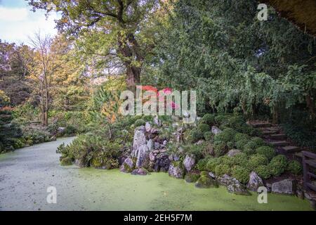 Jardin anglais et ruisseau en automne Banque D'Images