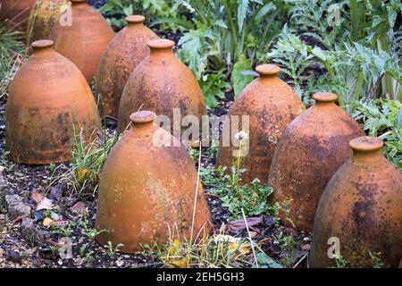 Rangée de pots en terre cuite Banque D'Images