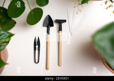 Outils de jardinage accessoires miniature plat blanc pelle à ciseaux, concept de jardinage ou de plantation vu d'en haut, vue de dessus jardin intérieur, Banque D'Images