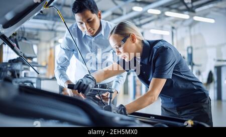 Le responsable vérifie les résultats des diagnostics sur une tablette et explique une panne de moteur à un mécanicien féminin. L'employé du service automobile utilise une clé à cliquet pour Banque D'Images