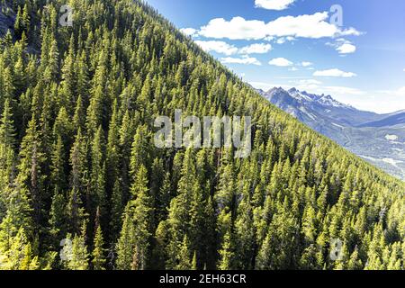 La vue depuis la télécabine de Banff qui s'étend jusqu'au mont Sulphur dans les montagnes Rocheuses, Banff, Alberta, Canada Banque D'Images