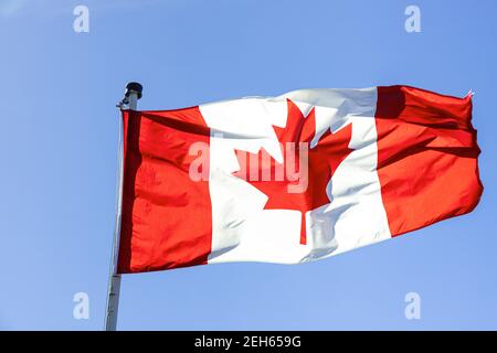 Le drapeau national canadien flotte contre un ciel bleu clair. Banque D'Images