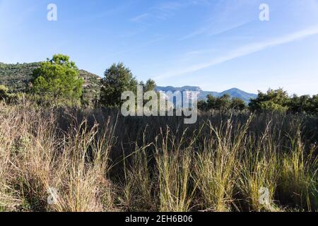 Paysage des montagnes de Sant Miquel del Fai en Catalogne, Espagne Banque D'Images