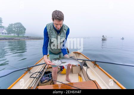 Pêche aux striper dans le port de Camden, Maine, tôt le matin. Banque D'Images