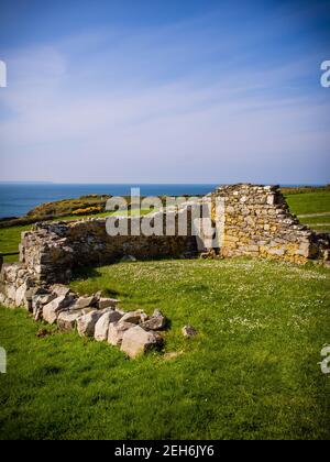 Les ruines de la chapelle Saint-non à St Davids, dans l'ouest du pays de Galles, où St David est réputé être né Banque D'Images