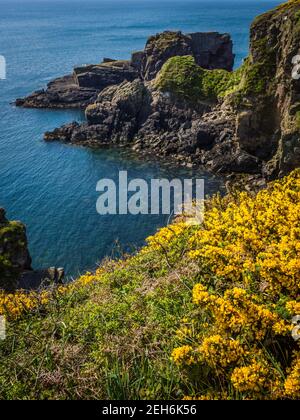 St non's Bay près de St Davids, dans l'ouest du pays de Galles Banque D'Images