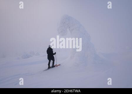 Skieur dans le parc national de Pallas-Yllästunturi Banque D'Images