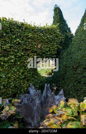 Partie du Stumpery à Arundel Castle Gardens, West Sussex, Angleterre, Royaume-Uni Banque D'Images