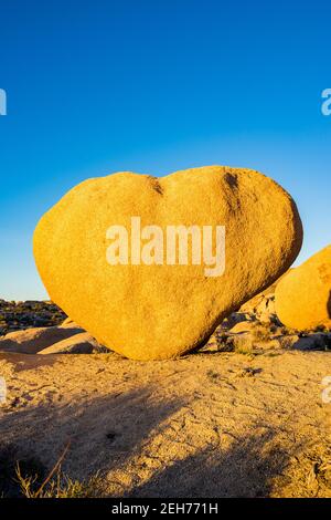Bloc en forme de cœur dans la lumière dorée du soir au parc national de Joshua Tree, Californie. Carte de Saint-Valentin appropriée. Rock Solid Love concept. Banque D'Images