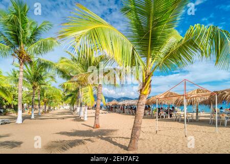 Plage bordée de palmiers à Acapulco, Guerrero, Mexique Banque D'Images