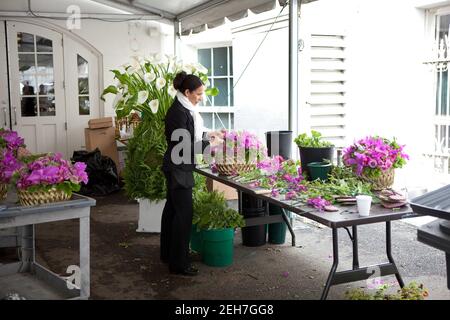 Un entrepreneur travaille sur les arrangements floraux pour le dîner d'État en l'honneur du président Felipe Calderón du Mexique et de sa femme, Mme Margarita Zavala, à l'entrée est Tradesman de la Maison Blanche, le 19 mai 2010. Banque D'Images