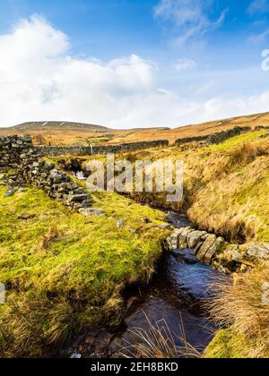 Landes ouvertes avec ruisseau et Dead Mans Hill. Niddoyre. Yorkshire Dales Banque D'Images