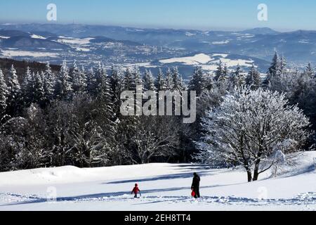 Homme enfant dans le paysage enneigé de la forêt d'épicéas Banque D'Images