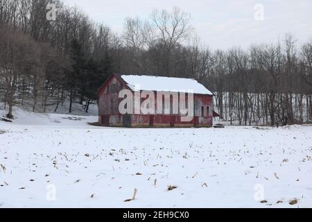 Grange rustique rouge, champ de maïs recouvert de neige devant Banque D'Images