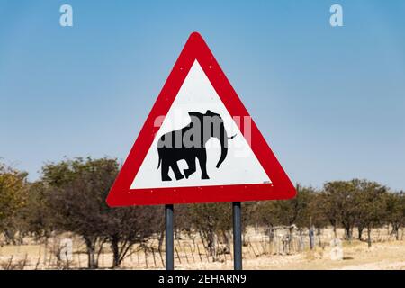 Panneau de signalisation typique en forme de triangle en Namibie, avertissement pour le passage des éléphants. Terres agricoles en arrière-plan Banque D'Images